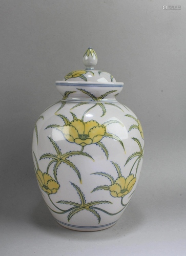 Chinese Porcelain Jar