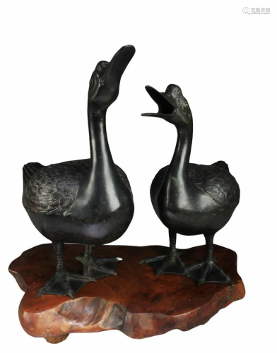 Two Bronze Duck Statues