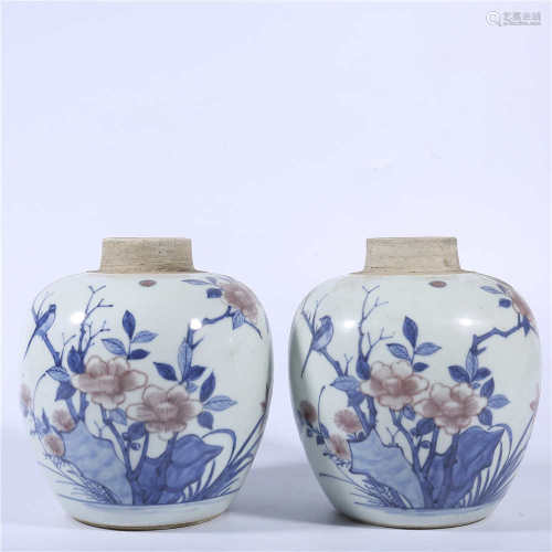 A pair of blue and white underglaze red pots in Qing Dynasty