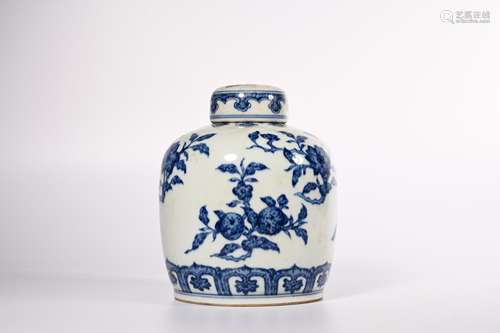 CHINESE BLUE WHITE PORCELAIN JAR