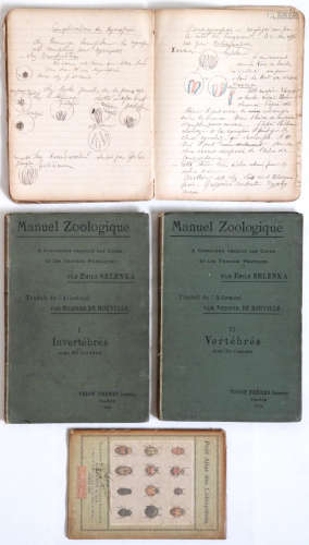 CHINESE BIOLOGIST ZHU XI 1929 NOTE BOOKS