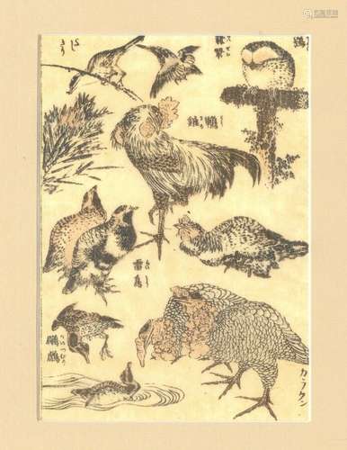 霍克赛(1760-1849)描绘鸟类的印刷品：公鸡、猫头鹰、鹌鹑......。19世纪中叶视线尺寸：17 x 12厘米