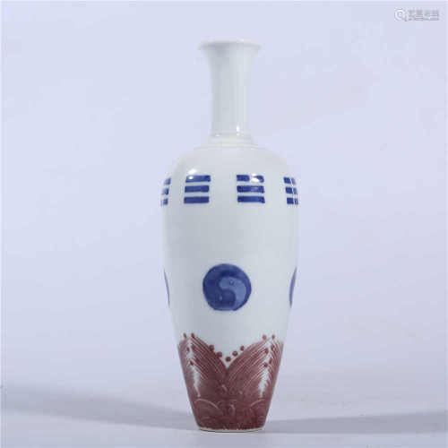 Qing Dynasty Kangxi blue and white underglaze red bottle