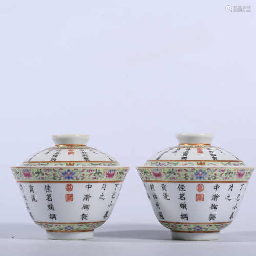 A pair of pastel bowls in Jiaqing of Qing Dynasty