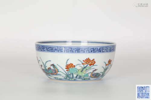 Qianlong, Doucai mandarin duck Cup