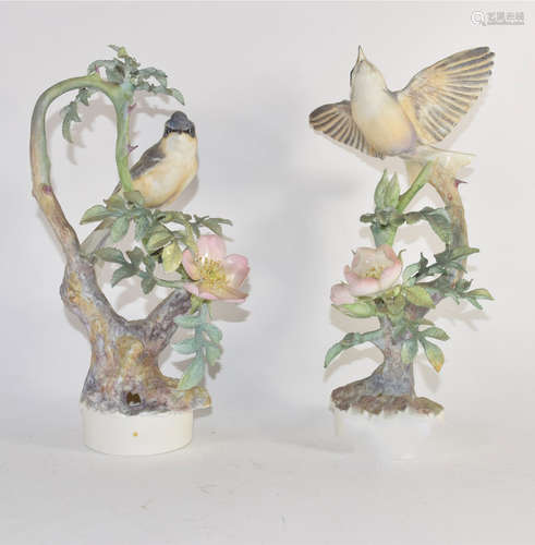 Pair of Royal Worcester bird groups modelled by Dorothy Doughty, one with the Lesser Whitethroat and