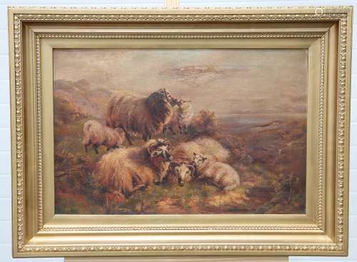 ATTRIBUTED TO CHARLES JONES, SHEEP IN A HIGHLAND L