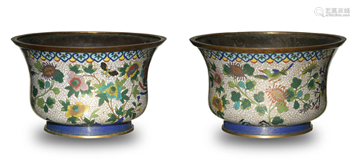 Pair of Chinese Cloisonne Jardinieres, 19th Century