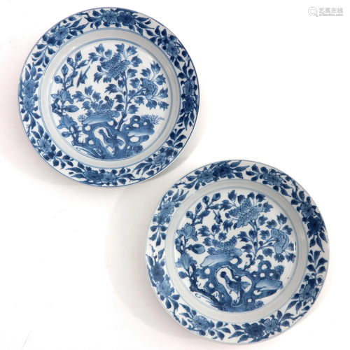 A Pair of Blue and White Plates