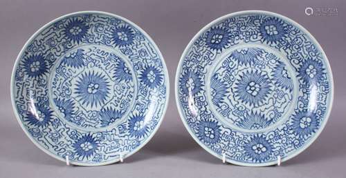 A PAIR OF 19TH CENTURY CHINESE BLUE AND WHITE CIRCULAR DISHES, painted with stylised flowerheads and