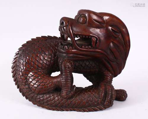 A 19TH / 20TH CENTURY CHINESE CARVED HARDWOOD FIGURE OF A INTERTWINED DRAGON, 18cm wide x 14cm.