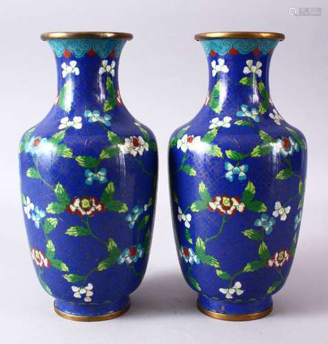 A GOOD PAIR OF 19TH/20TH CENTURY CHINESE CLOISONNE VASES, with native displays of flora upon