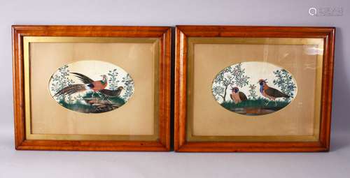 A PAIR OF 19TH CENTURY INDIAN FRAMED PAINTINGS OF PEACOCKS ON RICE PAPER, with mounted oval borders,