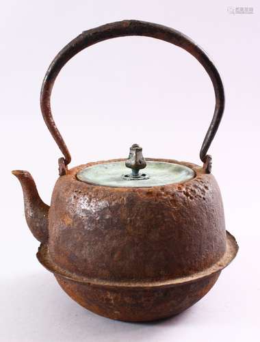 A JAPANESE EDO / MEIJI PERIOD IRON MOULDED BIRD KETTLE & COVER, the iron kettle with side decoration