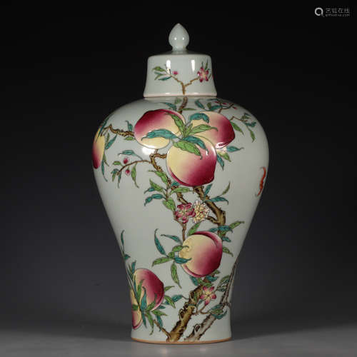 Chinese Famille Rose Porcelain Plum Bottle