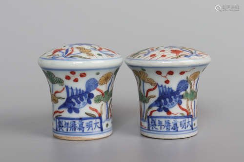 Chinese Pair Of Famille Verte Procelains