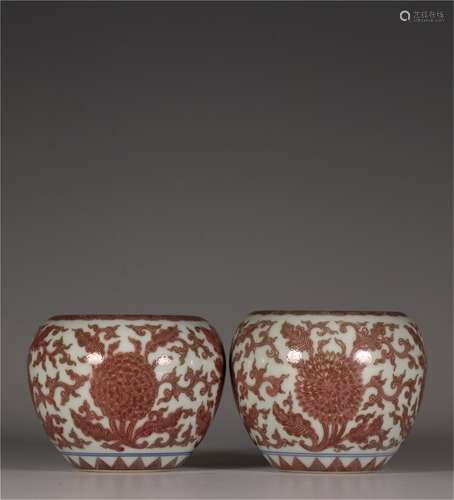 A Pair of Chinese Iron-Red Glazed Porcelain Water Pots