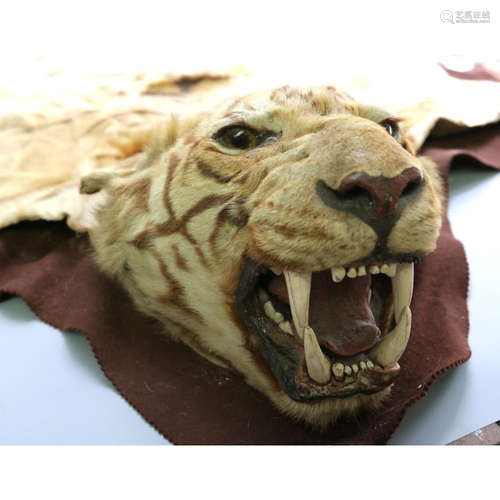 a chinese tiger hide