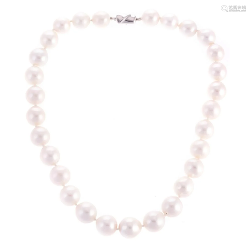 A 12.5 - 14.5 mm South Sea Pearl Strand