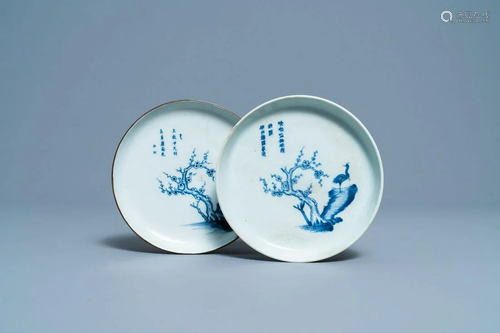 Two Chinese blue and white Vietnamese market 'Bleu de