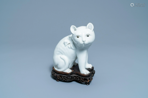 A Chinese Dehua blanc de Chine model of a cat on wooden
