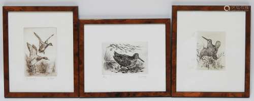 Pierre Couzy，来自2幅雕刻版画组曲，分别描绘了啄木鸟和野鸭。在40人中有正当理由并签字24x49厘米