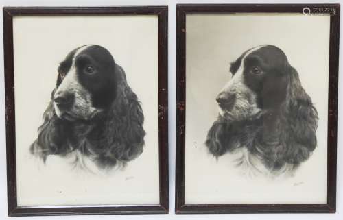 太阳-第二十次遇见2只可卡犬的肖像画印刷品右下角有签名38 x 29厘米