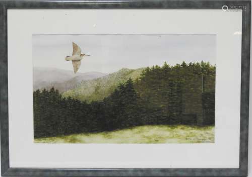 D.沙维尼----第二十次Woodcock水彩画签名、日期和位于空白处。30x50厘米（视线）