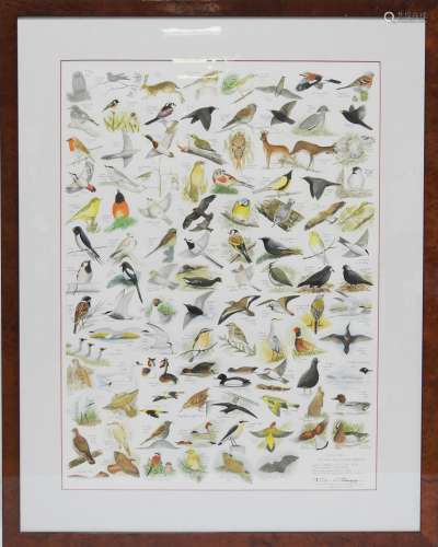 D.沙维尼----第二十次102种鸟类水彩画71.5 x 52.5厘米标题、签名和日期：1998年