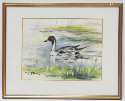 皮埃尔-埃米尔-索兰(1904-1983)鸭子粉彩左下角有签名22 x 27.5厘米（见图）