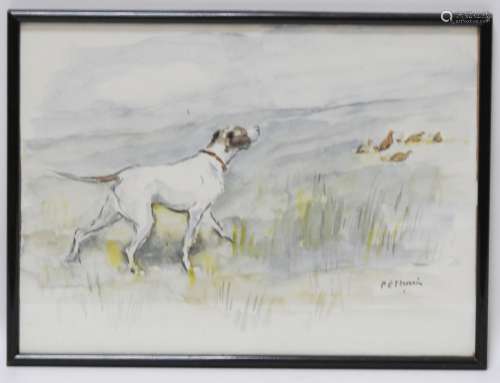 皮埃尔-埃米尔-索兰(1904-1983)鹧鸪猎犬水彩画右下角有签名27x37厘米（见图）
