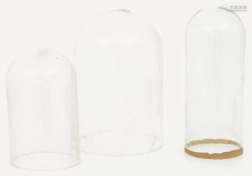 (3) glass bell jars, various dimensions, 19th century.