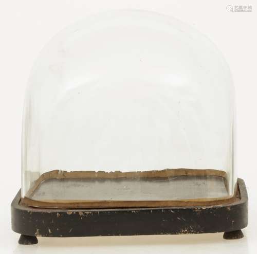 A low glass square bell jar with wooden base, 19th century.