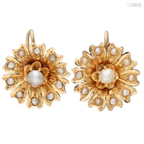 Rose gold rosette earrings, with seed pearl - 18 ct.