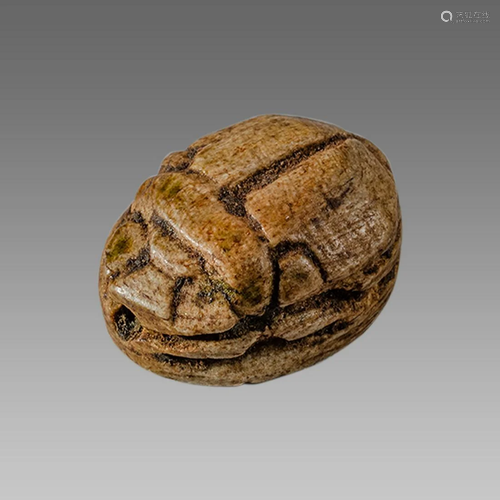 Ancient Egyptian Steatite stone Scarab c.1500-1100 BCE.