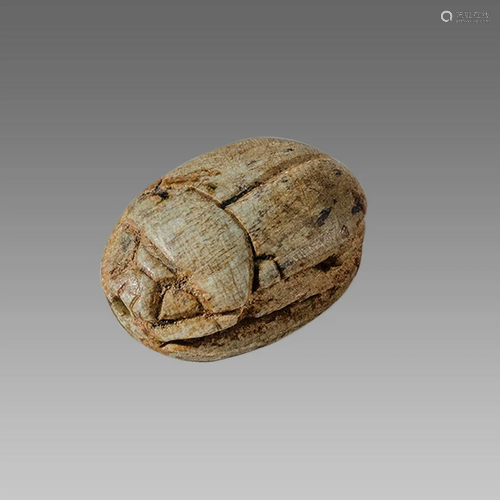 Ancient Egyptian Steatite stone Scarab c.1500-1100 BCE.