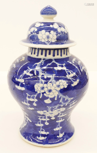 Chinese Qing Blue & White Prunus Jar