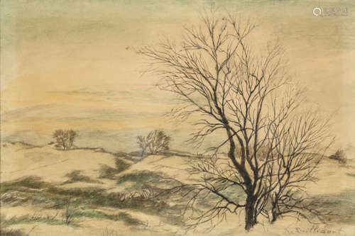 Leon Spilliaert: drawing / watercolor 'landscape with tree (Hautes Fagnes)' (16x27 cm)