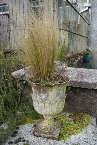 PAIR OF 19TH-CENTURY CAST IRON JARDINIERES