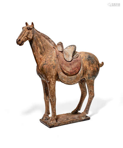 A Magnificent large painted grey pottery saddled horse Early Tang Dynasty, 7th Century