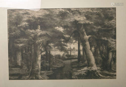 Otto Sager (1870 - 1940), Waldlandschaft m. gr. Flußlauf, Radierung, re. u. sign., ca. 57 x 87 cm,