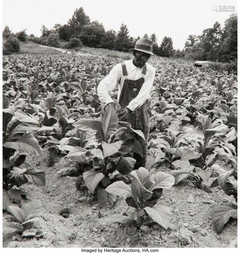 38050: Dorothea Lange (American, 1895-1965) Group of 4