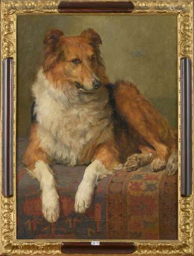 油画《狗的肖像》。无名氏。时期：1900年左右。尺寸：+/-72x52cm。
