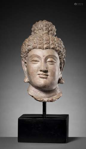 A RARE AND IMPORTANT TERRACOTTA HEAD OF BUDDHA SHAKYAMUNI