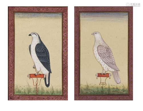 A PAIR OF INDIAN MINIATURE PAINTINGS OF FALCONS