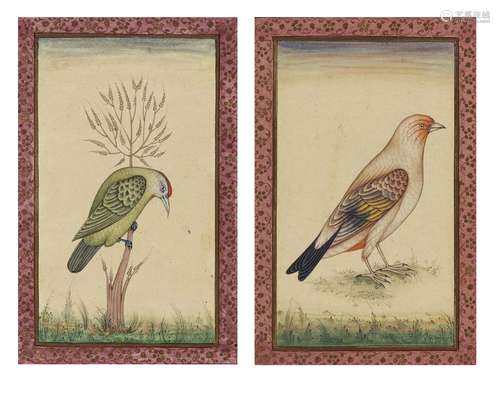 A PAIR OF INDIAN MINIATURE PAINTINGS OF EXOTIC BIRDS