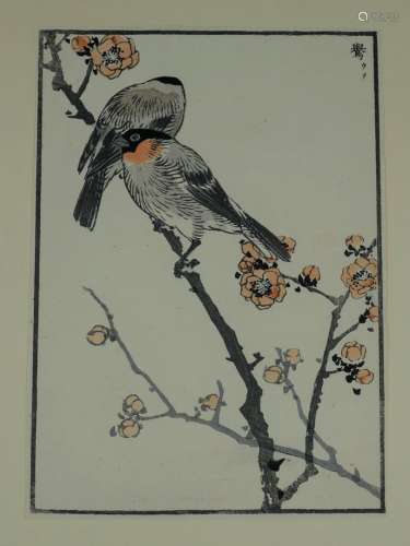 日本，Kōno Bairei（1844-1895）。百鸟图册中的两幅版画
