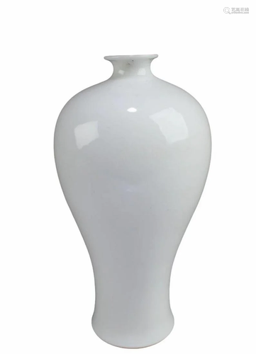 Chinese Meiping Vase