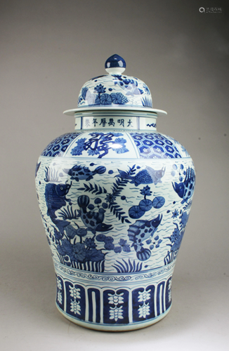 Chinese Blue & White Porcelain Jar