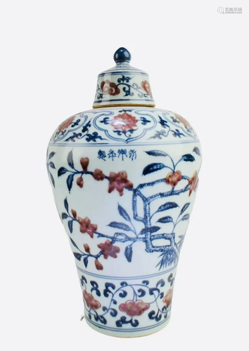 Chinese Iron Red Blue & White Porcelain Vase